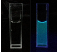 羧基化石墨烯量子點(diǎn)粉末