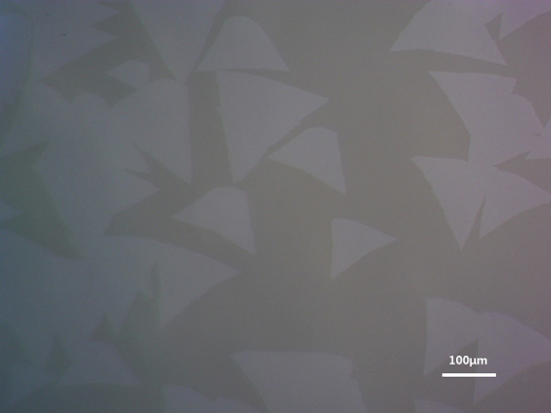 【巨納】三角形單層二硫化鎢（10*10mm）-襯底可選