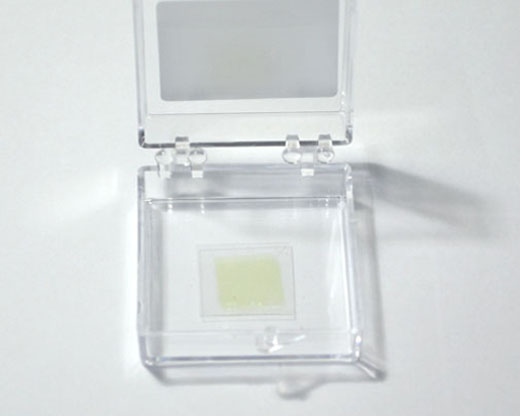 【巨納】基于柔性PET基底的單層連續二硫化鉬薄膜（10*10mm）