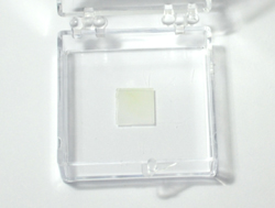 【巨納】基于藍寶石基底的三角形單層二硫化鉬（10*10mm）