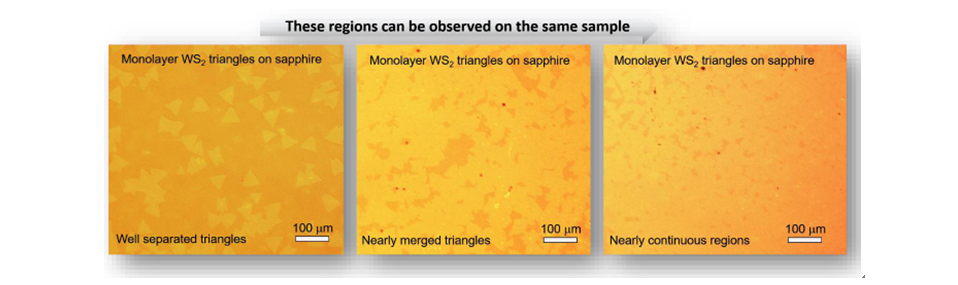 基于藍寶石襯底的三角形單層二硫化鎢-Monolayer WS2 Triangles on c-cut Sapphire