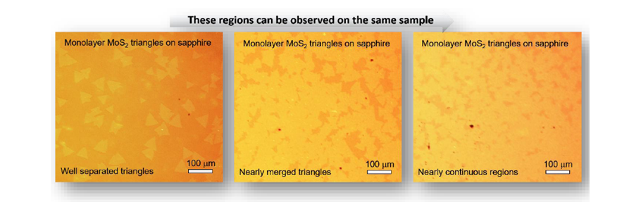 基于藍寶石襯底的三角形單層二硫化鉬-Monolayer MoS2 Triangles on c-cut Sapphire