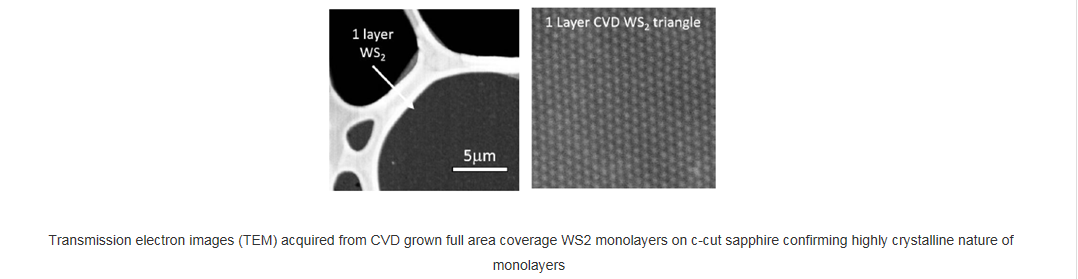 基于藍寶石襯底的全區域覆蓋的單層二硫化鎢-Full Area Coverage Monolayer WS2 on c-cut Sapphire