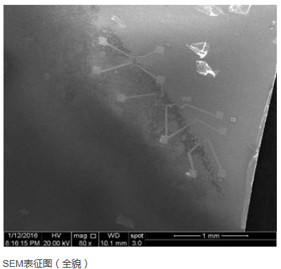 定制單層二硫化鉬-帶電極