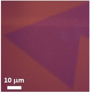 單層二硫化鎢薄膜 WS?(Tungsten Disulfide)-Monolayer