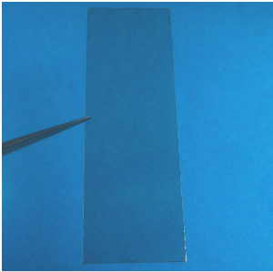 金云母（5片裝）MICA phlogopite (Phlogopite, KMg3AlSi3O10(OH)2