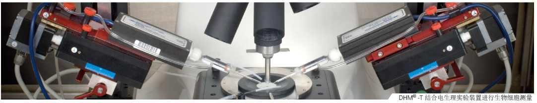 透射式數(shù)字全息顯微鏡 (DHM-T)